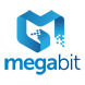 Megabit